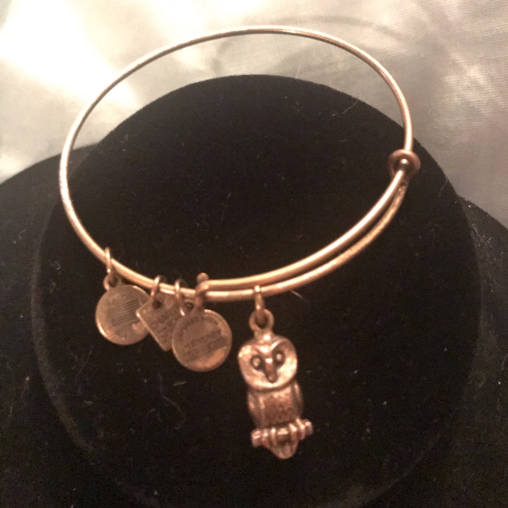 Alex & Ani Gold Tone Owl Bracelet